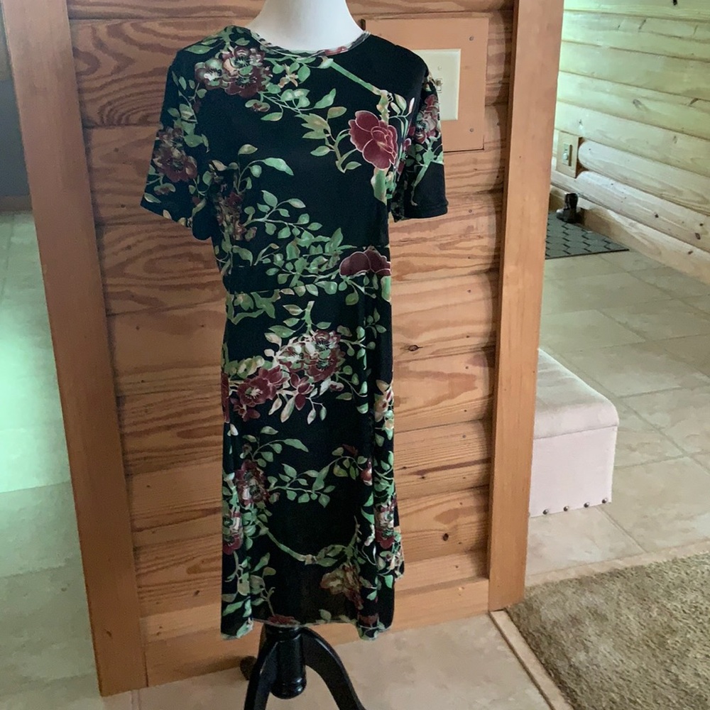 Lady dress